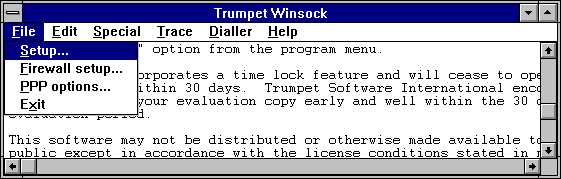 Trumpet Winsock Window