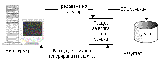 Web Server - CGI - DBMS