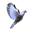 pigeon.gif (37.6 bytes)