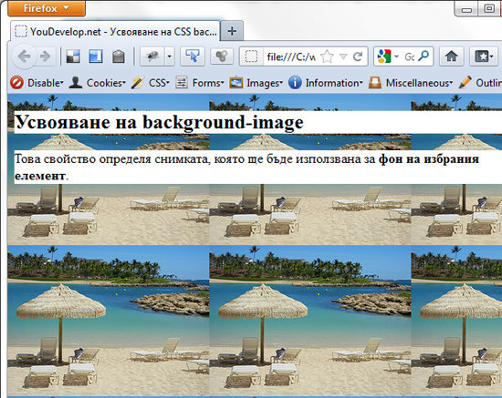 Резултат от прилагането на background-image