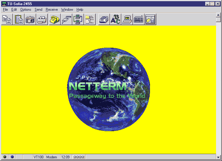 NetTerm Window